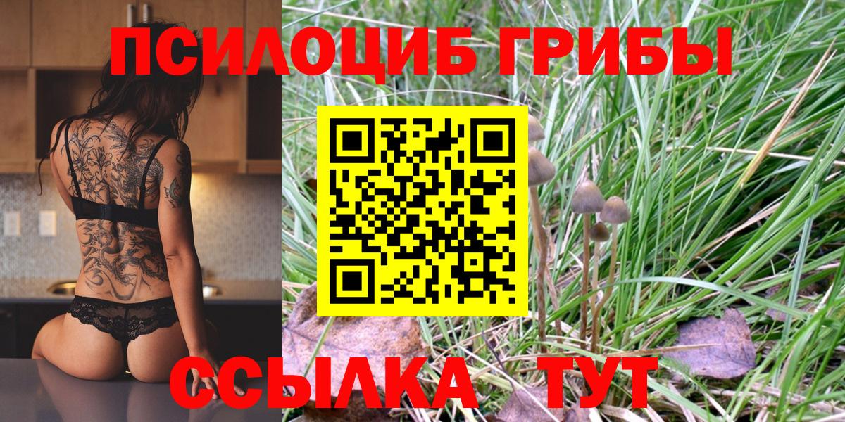 Псилоцибиновые грибы Magic Shrooms  Вход с VPN  Галлюциногенные грибы прущие грибы  Северобайкальск 